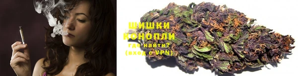 стаф Богородск