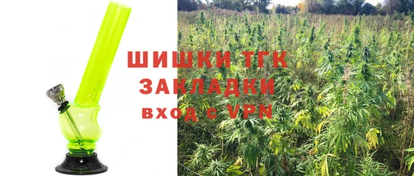 стаф Богородск