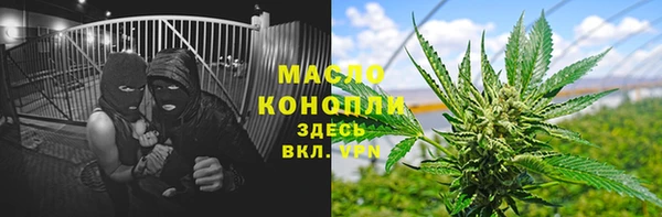 стаф Богородск
